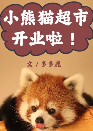 Little Panda Supermarket is open!