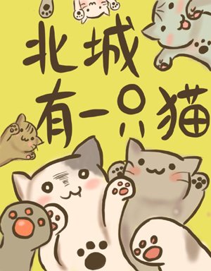 There is a cat in Beicheng
